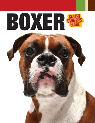 The Boxer by Jurek Becker