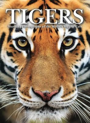 Tigers: Stunning Photographs of the World's Biggest Cats by Paula Hammond