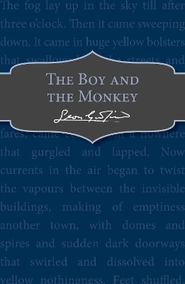 Boy and the Monkey book