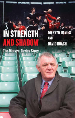 In Strength And Shadow by David Roach