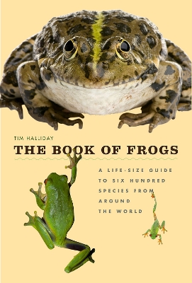 The The Book of Frogs: A Life-Size Guide to Six Hundred Species from Around the World by Tim Halliday