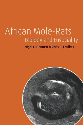 African Mole-Rats by Nigel C. Bennett