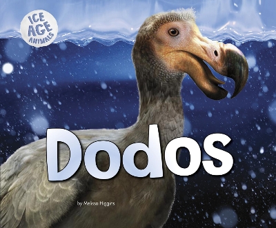 Dodos book