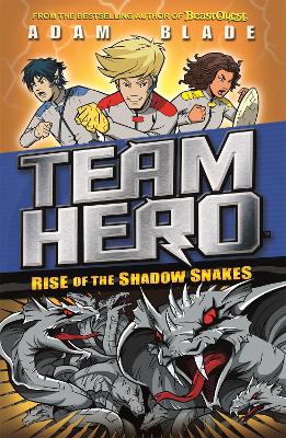 Team Hero: Rise of the Shadow Snakes book