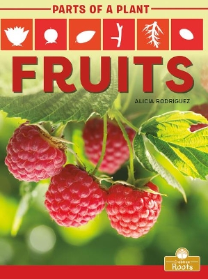 Fruits by Alicia Rodriguez