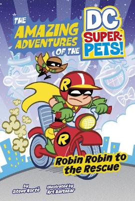 Robin Robin to the Rescue book