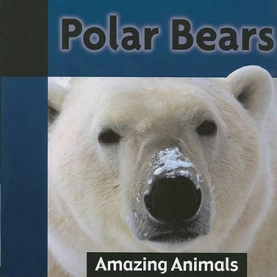 Polar Bears book