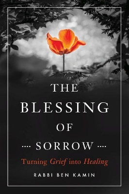 Blessing of Sorrow book