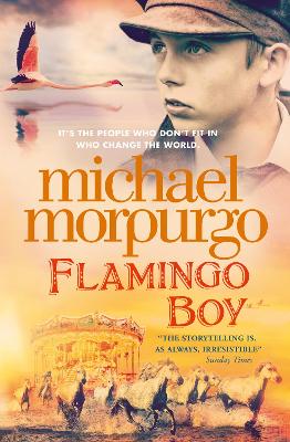 Flamingo Boy book