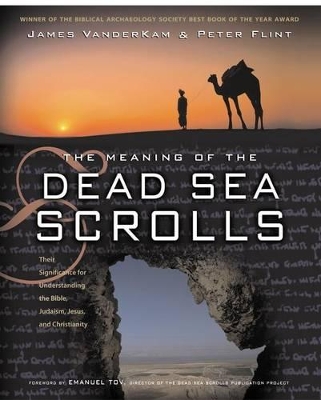 Meaning Of The Dead Sea Scrolls book