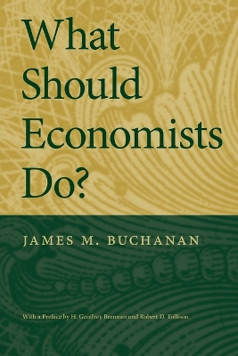 What Should Economists Do? book