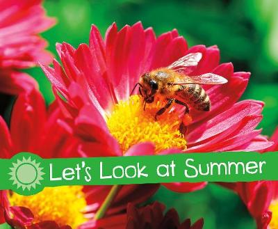 Let's Look at Summer by Sarah L. Schuette
