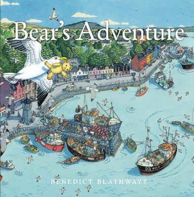 Bear's Adventure book