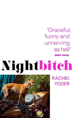 Nightbitch: Stylist's summer 2021 cult breakout by Rachel Yoder