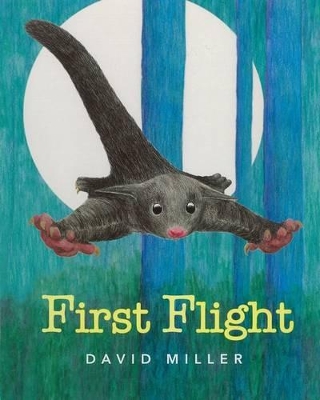 First Flight book
