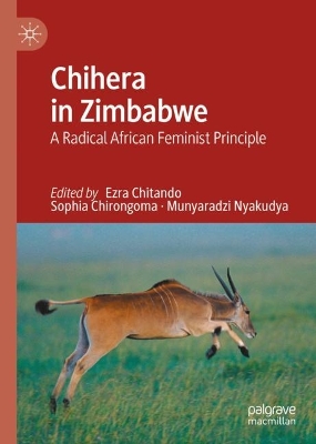 Chihera in Zimbabwe: A Radical African Feminist Principle book