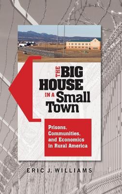 Big House in a Small Town book