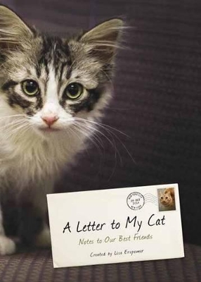 Letter To My Cat book
