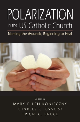 Polarization in the US Catholic Church book