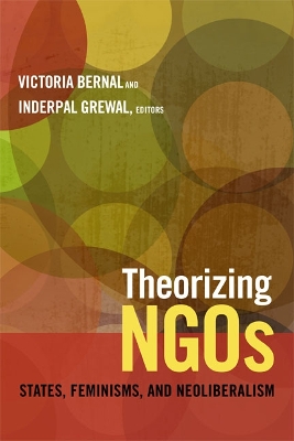 Theorizing NGOs book