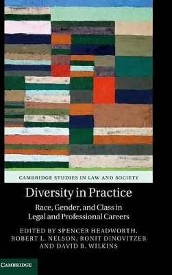 Diversity in Practice book