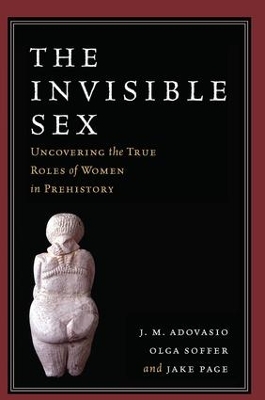 Invisible Sex book
