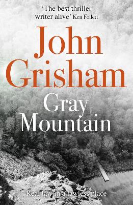 Gray Mountain book