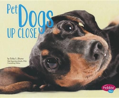 Pet Dogs Up Close by Erika L. Shores