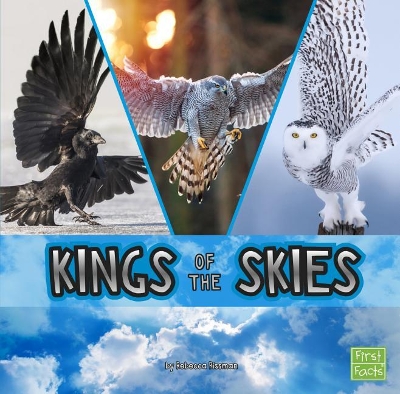 Kings of the Skies book