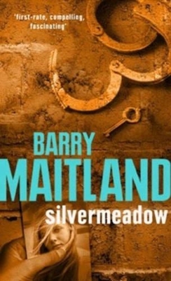 Silvermeadow book
