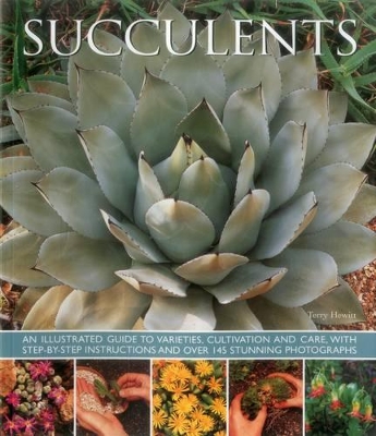 Succulents book