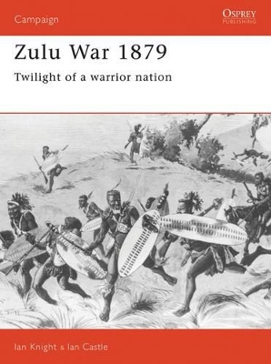 Zulu War 1879 book