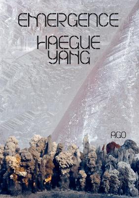 Haegue Yang: Emergence book