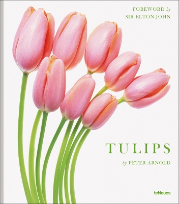 Tulips by Peter Arnold