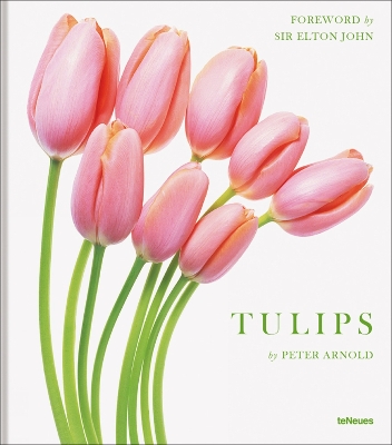 Tulips book