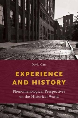 Experience and History book