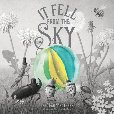It Fell From The Sky book