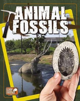 Animal Fossils book