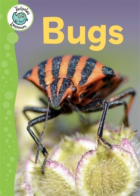 Tadpoles Learners: Bugs book