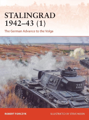 Stalingrad 1942–43 (1): The German Advance to the Volga book