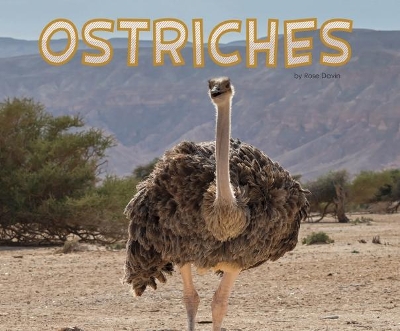 Ostriches by Rose Davin