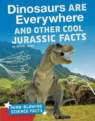 Dinosaurs Are Everywhere and Other Cool Jurassic Facts by Ellis M Reed
