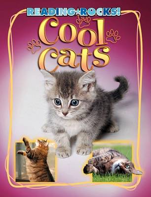 Cool Cats by Beth Adelman