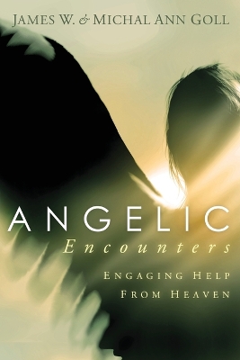 Angelic Encounters book