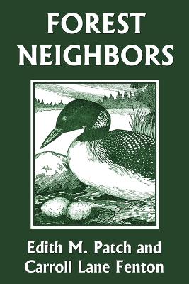 Forest Neighbors (Yesterday's Classics) book