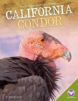 California Condor book