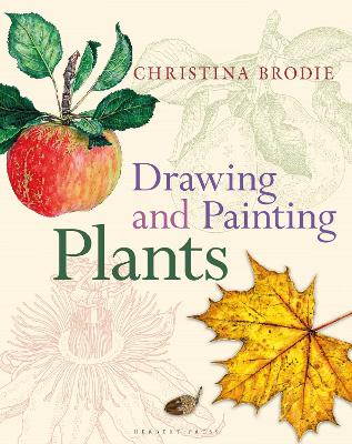 Drawing and Painting Plants by Christina Brodie