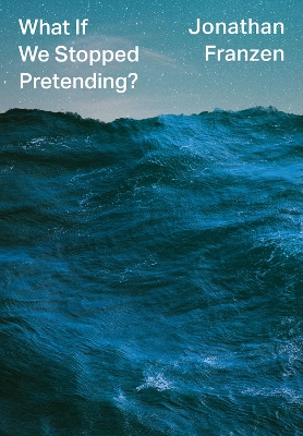 What If We Stopped Pretending? book