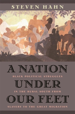 Nation Under Our Feet book