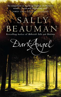 Dark Angel book